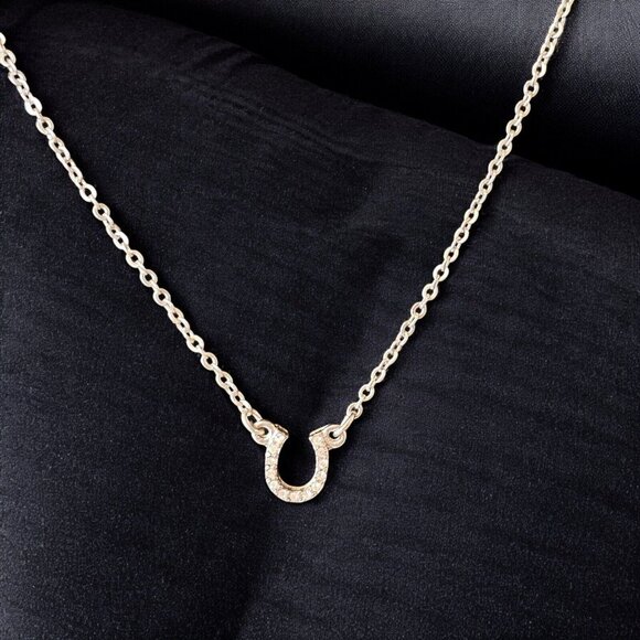 Premier Design Silver Tone Dainty Necklace Good Luck Horse Shoe Rhinestones 16" - Picture 5 of 5